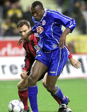 伴随国际马 伴随国际马